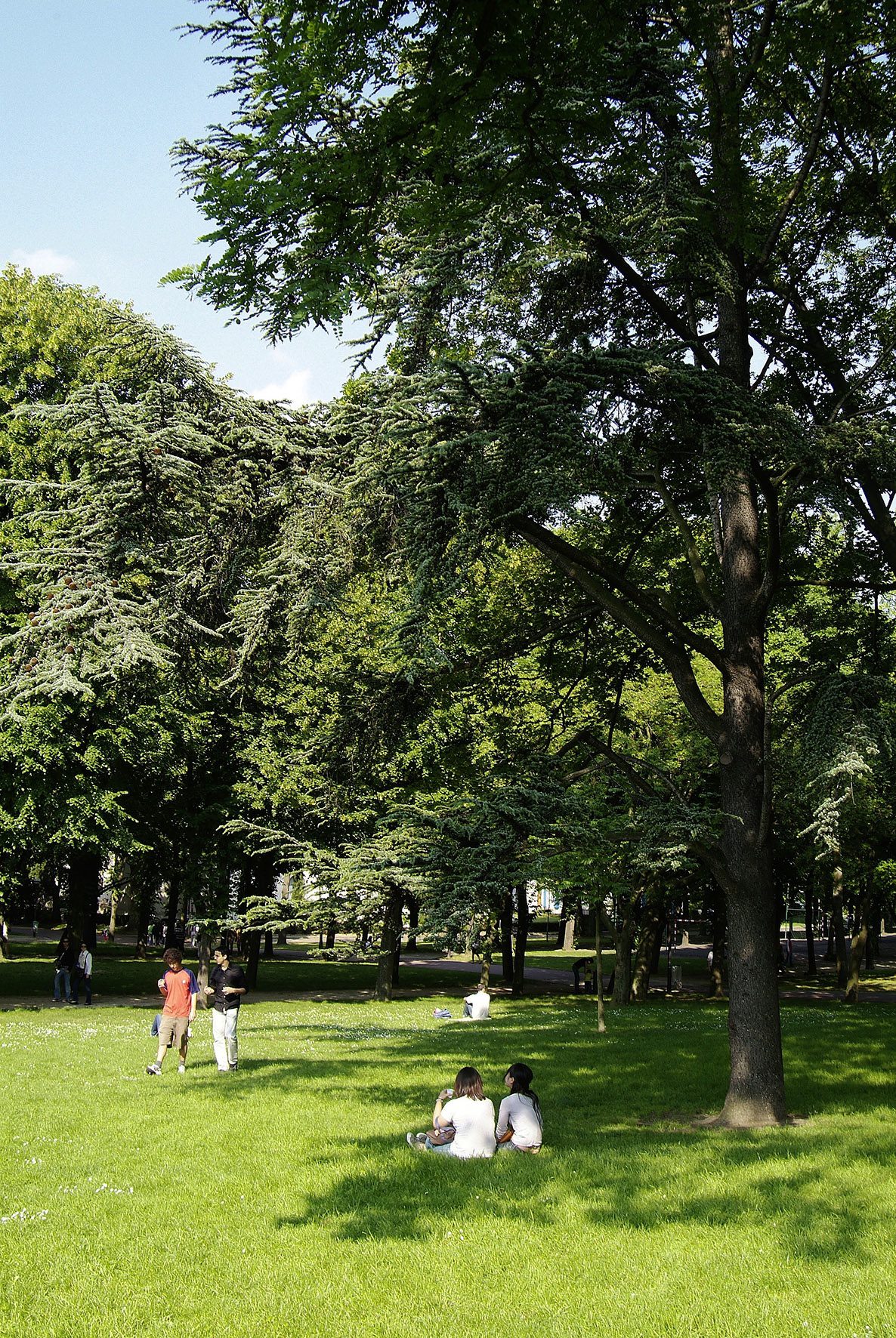 Projetez-vous d’étudier à Paris l’été 2014 ? Bienvenue à la Maison de Suède !